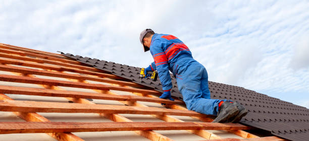 Best Skylight Installation and Repair  in Riner, VA
